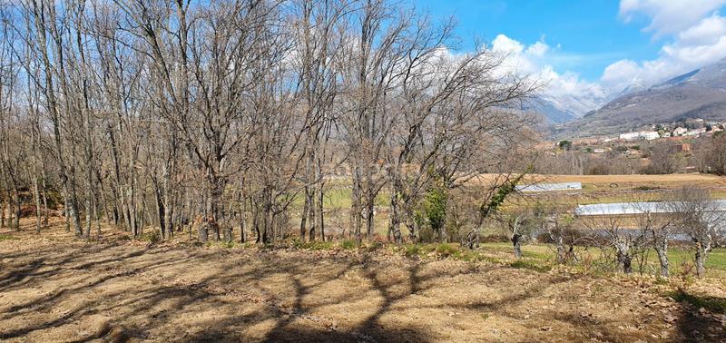 Foto db398aa9-4297-4dd2-91b5-41d6f054f742. Rural plot in Jarandilla de la Vera