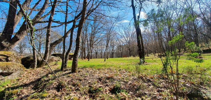 Foto dc35c034-33bd-485c-a6d9-a737a8565570. Rural plot in Jarandilla de la Vera