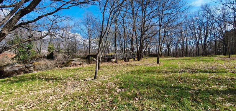 Foto df4271cb-bf94-4bb0-8820-ead4ebd6b6f5. Rural plot in Jarandilla de la Vera