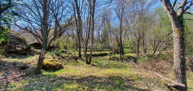 Foto e0c9b4b3-e7da-4984-84e5-32e4b174629d. Rural plot in Jarandilla de la Vera