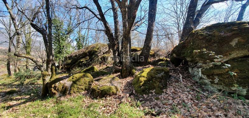 Foto e6ef7eeb-5762-4158-a4b5-f08568947921. Rural plot in Jarandilla de la Vera