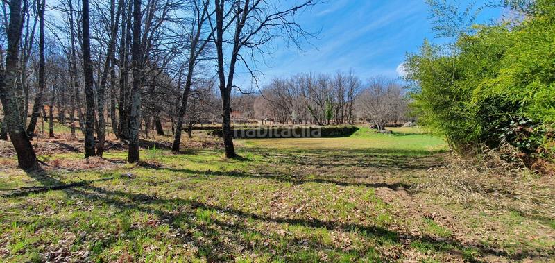 Foto ed2ff967-93aa-4abd-a45a-e0908dfe8c0b. Rural plot in Jarandilla de la Vera