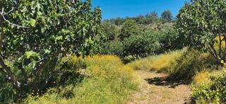 Terreno residenziale in Valverde de la Vera