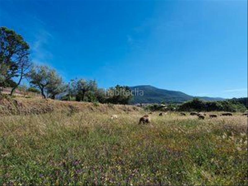 Foto 1cf5c3de-ad8d-44c2-88a7-b214b84f0851. Rural plot in Jarandilla de la Vera