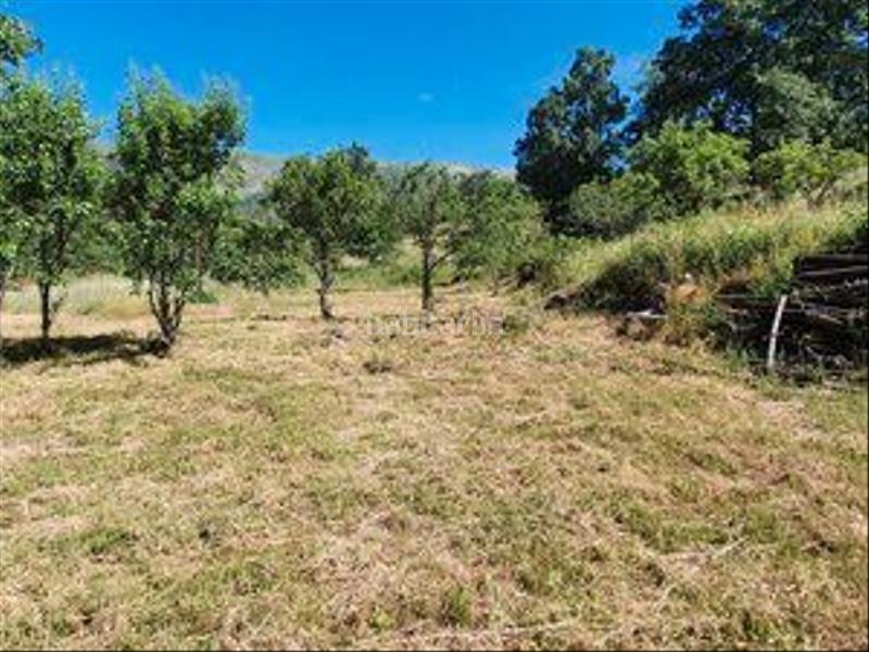 Foto 6270dbc1-9e8a-4ef0-acdb-12e70176ca07. Rural plot in Jarandilla de la Vera