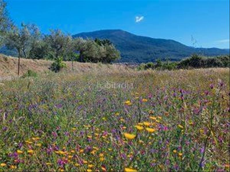 Foto 73c2c41e-ab6e-4160-ad06-31d0339df876. Rural plot in Jarandilla de la Vera