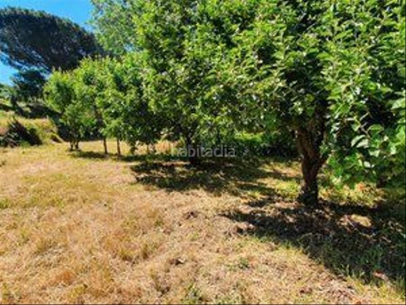 Foto 8542ea53-6ad8-4e72-ac49-d47006e30a41. Rural plot in Jarandilla de la Vera