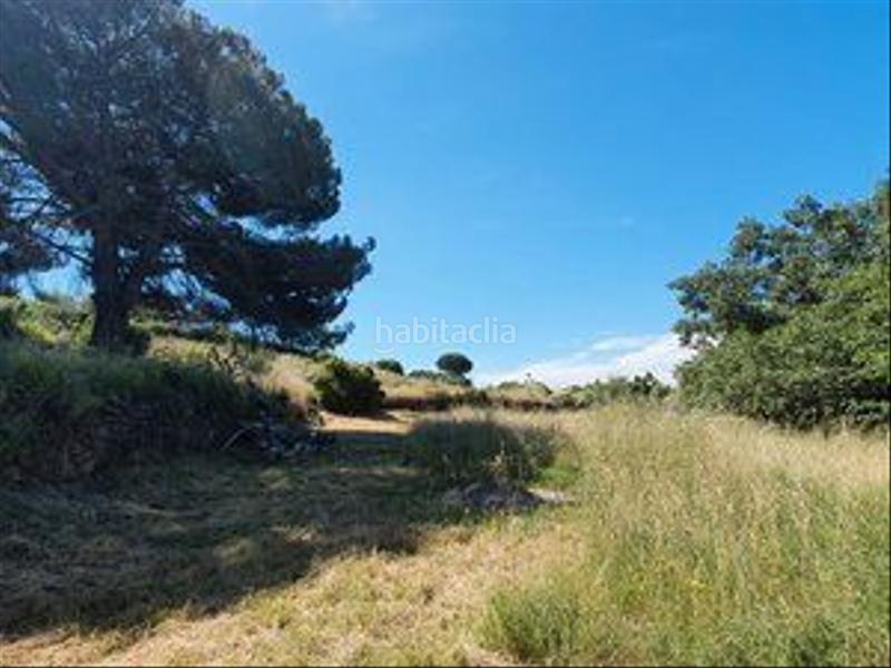 Foto bd2a19b8-98cc-40dc-97fd-321570a8ef2c. Rural plot in Jarandilla de la Vera