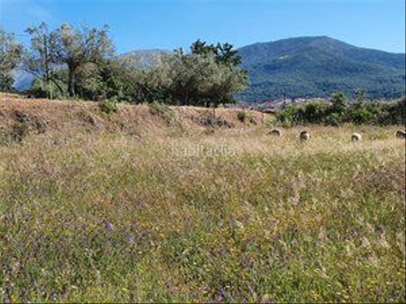 Foto c0f0263e-9772-48e3-9cab-ae1e72d77faa. Rural plot in Jarandilla de la Vera
