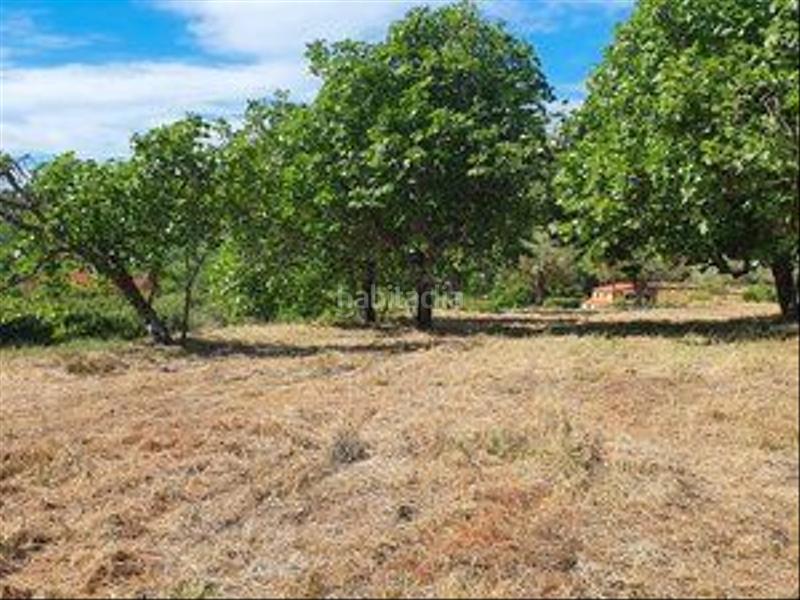 Foto d3e78914-c30a-4a0c-9936-ee8b49509038. Rural plot in Jarandilla de la Vera