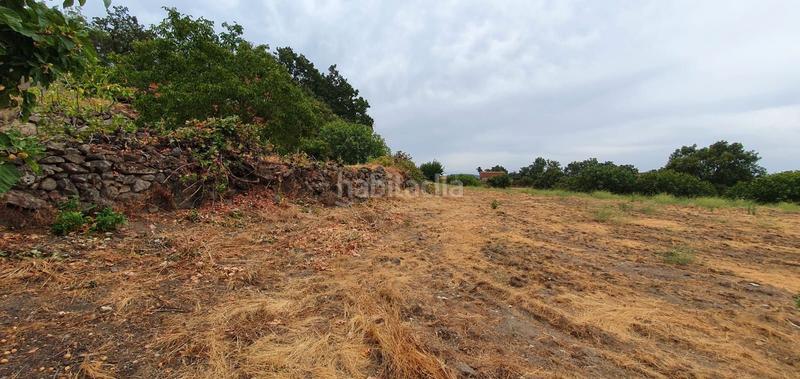 Foto 255806f0-4973-4e73-9ab1-dc614099af7e. Rural plot in Jarandilla de la Vera