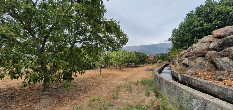 Foto 44993914-7856-49e4-ba2c-b55d78ded5f0. Rural plot in Jarandilla de la Vera