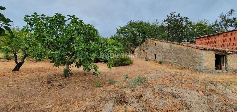 Foto 59e327b9-3553-4979-ae59-f2d5dd81a50b. Rural plot in Jarandilla de la Vera