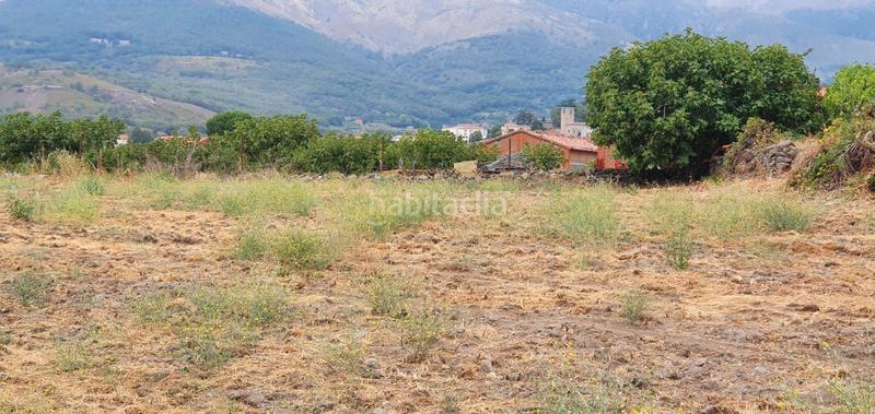 Foto 5e6f86fc-0a8b-4ffc-89de-e1e7bc5a0ad9. Rural plot in Jarandilla de la Vera