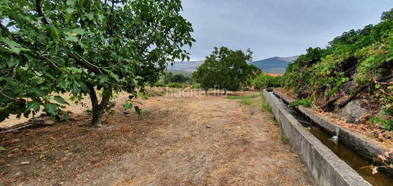 Foto 83c26cad-b0a9-438d-9a8a-dd3b50d8184d. Rural plot in Jarandilla de la Vera