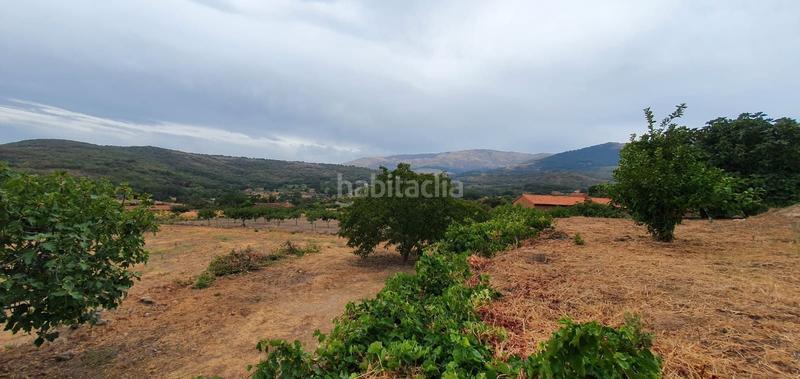 Foto 928f9677-71fc-4810-8f2e-20c9db9c6f8e. Rural plot in Jarandilla de la Vera