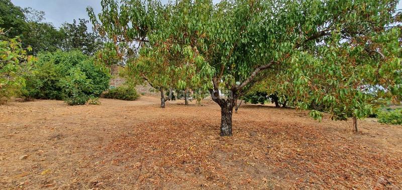 Foto 97f48e10-867b-46d9-b9df-c9a09b07865e. Rural plot in Jarandilla de la Vera