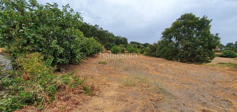 Foto aeab31b4-cf56-4f14-a84e-5162eb0882e1. Rural plot in Jarandilla de la Vera