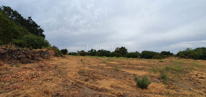 Foto cd5a2702-7efe-499a-b5c4-8e8c8d8ae69d. Rural plot in Jarandilla de la Vera