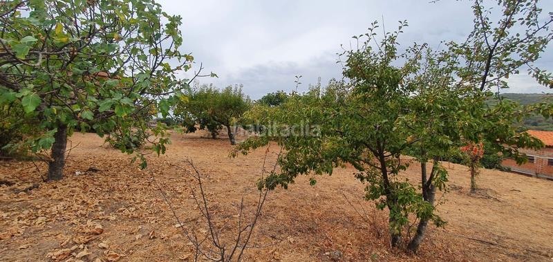 Foto e0a9efdb-7240-4621-bdfb-08b6af71f37b. Rural plot in Jarandilla de la Vera