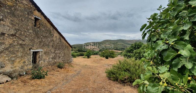 Foto e0bbddd8-f7c6-4cdd-819e-2e205082830a. Rural plot in Jarandilla de la Vera