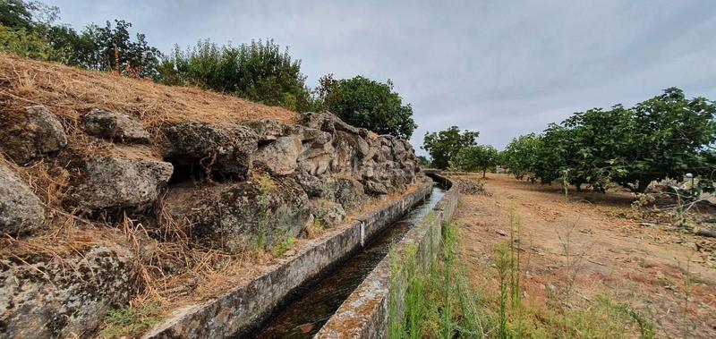 Foto e6dadd50-f933-4efc-a686-d8fd59ebe437. Rural plot in Jarandilla de la Vera