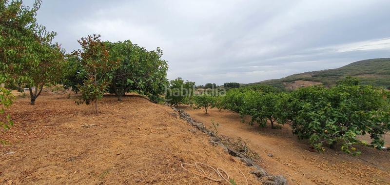 Foto ff26b735-0f8a-4e84-b142-2108ad4a56d5. Rural plot in Jarandilla de la Vera