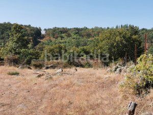 Foto 6bb59c85-9efc-426b-88c7-7fd022fce73e. Finca rústica en Losar de la Vera