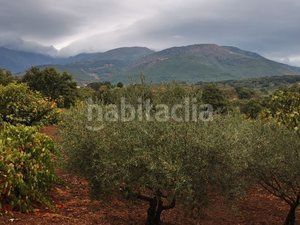 Foto bf07c117-1835-4e3a-b8cf-d09ef354e396. Fondo rustico in Jarandilla de la Vera