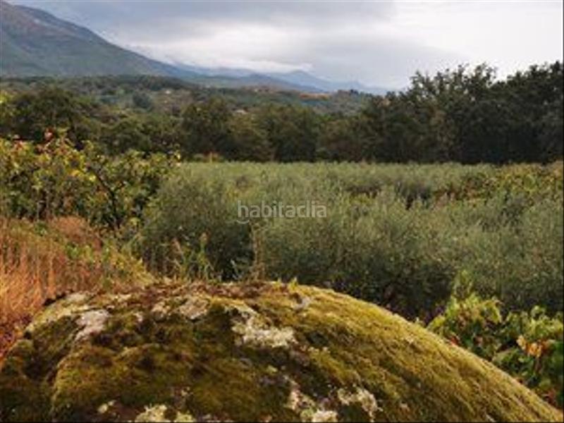 Foto 79e5cc2e-1fab-4099-b72b-5ac1ea4ceff7. Rural plot in Jarandilla de la Vera