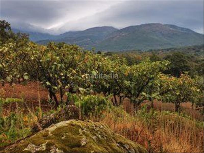 Foto 908bf067-bc30-4985-9ce3-9ac3f37c159d. Rural plot in Jarandilla de la Vera