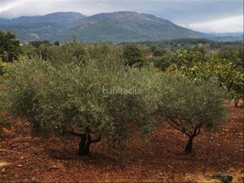 Foto a8b9620d-da37-4246-9663-54188c5d6686. Rural plot in Jarandilla de la Vera