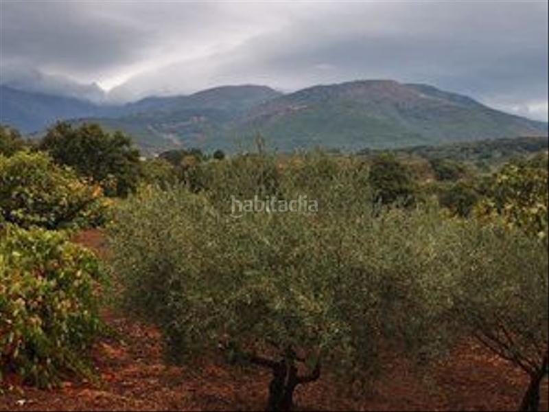 Foto bf07c117-1835-4e3a-b8cf-d09ef354e396. Rural plot in Jarandilla de la Vera