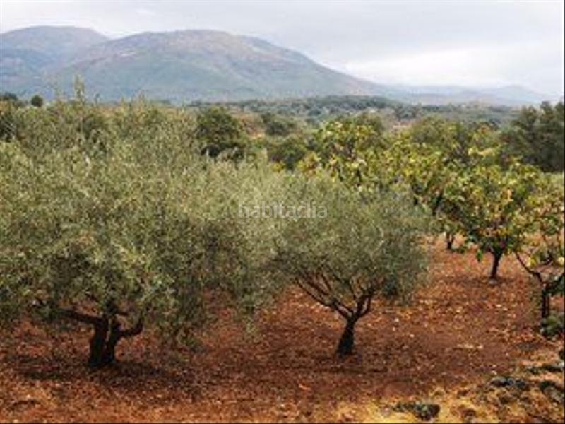 Foto d941059e-2387-44e1-a08f-21880e8fd7d0. Rural plot in Jarandilla de la Vera