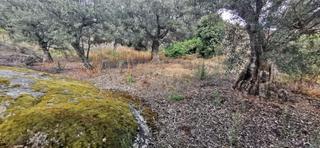 Landgut in Jarandilla de la Vera