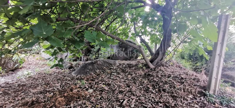 Foto 040b1052-b2c8-4c48-8305-1a6ed469d1ae. Rural plot in Jarandilla de la Vera