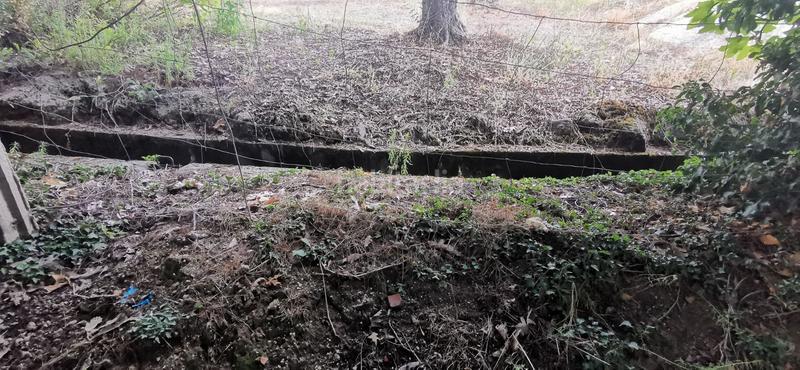 Foto 6d5286d5-ae2d-4b54-8e08-d72b4972288c. Rural plot in Jarandilla de la Vera