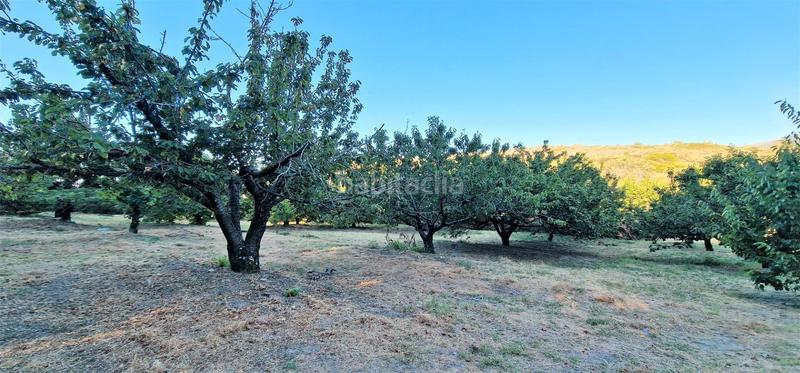 Foto 074015bf-0b72-41f4-8925-5add2b132dce. Finca rústica en Aldeanueva de la Vera