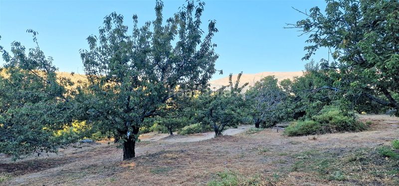 Foto 3d43d6c5-fcf2-4034-8557-d3ceb39f6303. Finca rústica en Aldeanueva de la Vera