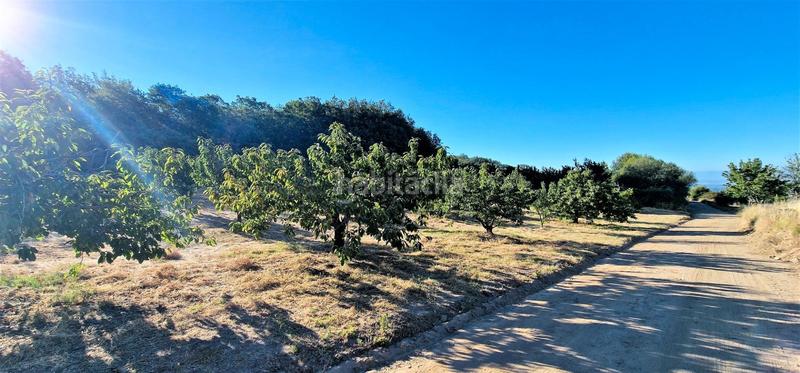 Foto 9afc9840-8a44-4486-bd6d-dd14ffac1991. Finca rústica en Aldeanueva de la Vera