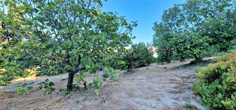 Foto d7a2748e-be51-462d-954a-733344b0d2a2. Finca rústica en Aldeanueva de la Vera