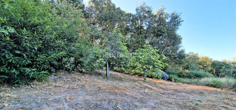 Foto ecb2857f-d3a9-4115-bed3-53e8a5509259. Finca rústica en Aldeanueva de la Vera