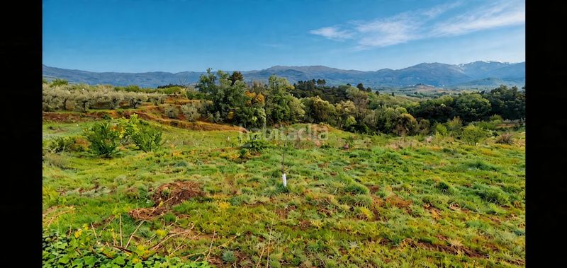 Foto f83da6cd-6e16-48c0-a6c2-151808fa7039. Finca rústica a Jaraíz de la Vera