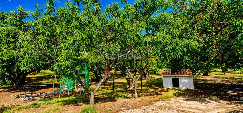 Foto 03c2f442-adb4-4e6e-813e-a34364dd6941. Finca rústica a Garganta la Olla
