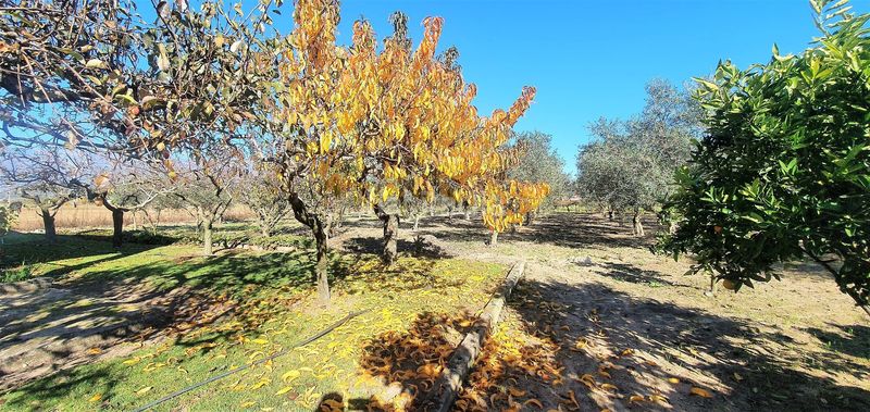 Foto b5b93426-fcfc-4944-a43f-45a4f8b925f9. Fondo rustico in Losar de la Vera