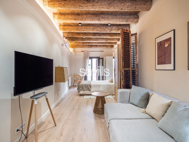 Foto 65a1db23-6fff-4be3-8f4b-d38a6364edf0. Apartament a Raval Barcelona