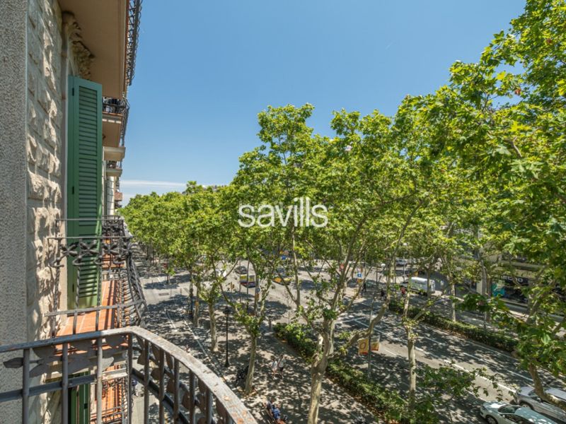 Foto 43a5ec77-4aac-466a-a716-b3590494b92d. Apartament a La Nova Esquerra de l´Eixample Barcelona