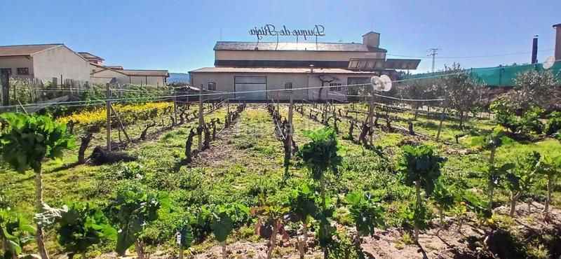 Foto 5d9f781c-942a-4da6-a2bc-e5755e9ea290. Casa a Lapuebla de Labarca