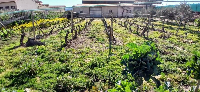 Foto d6cd4940-1b06-47a0-81cc-e1cf71d95942. Casa a Lapuebla de Labarca