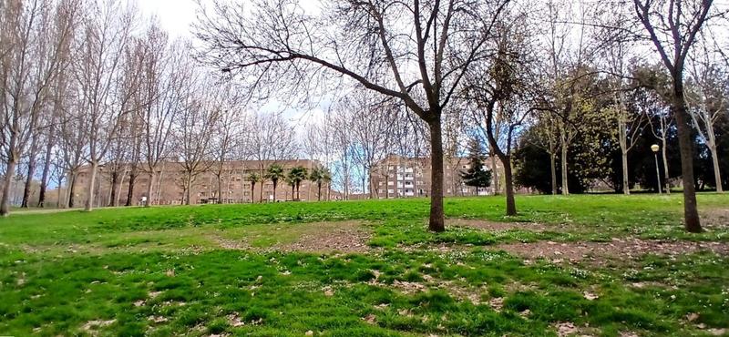 Foto b1c4c7ce-c66e-4324-8fd4-cba59ed9623c. Piso en San Adrián Logroño